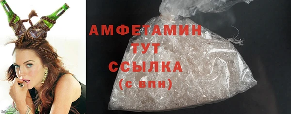 гидра Абаза