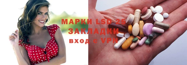 гидра Абаза
