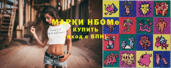 гидра Абаза