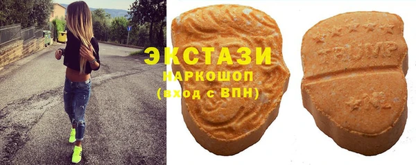 гидра Абаза