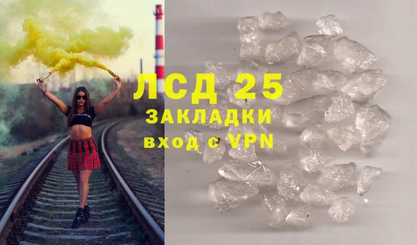 гидра Абаза