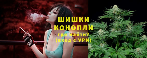 гидра Абаза